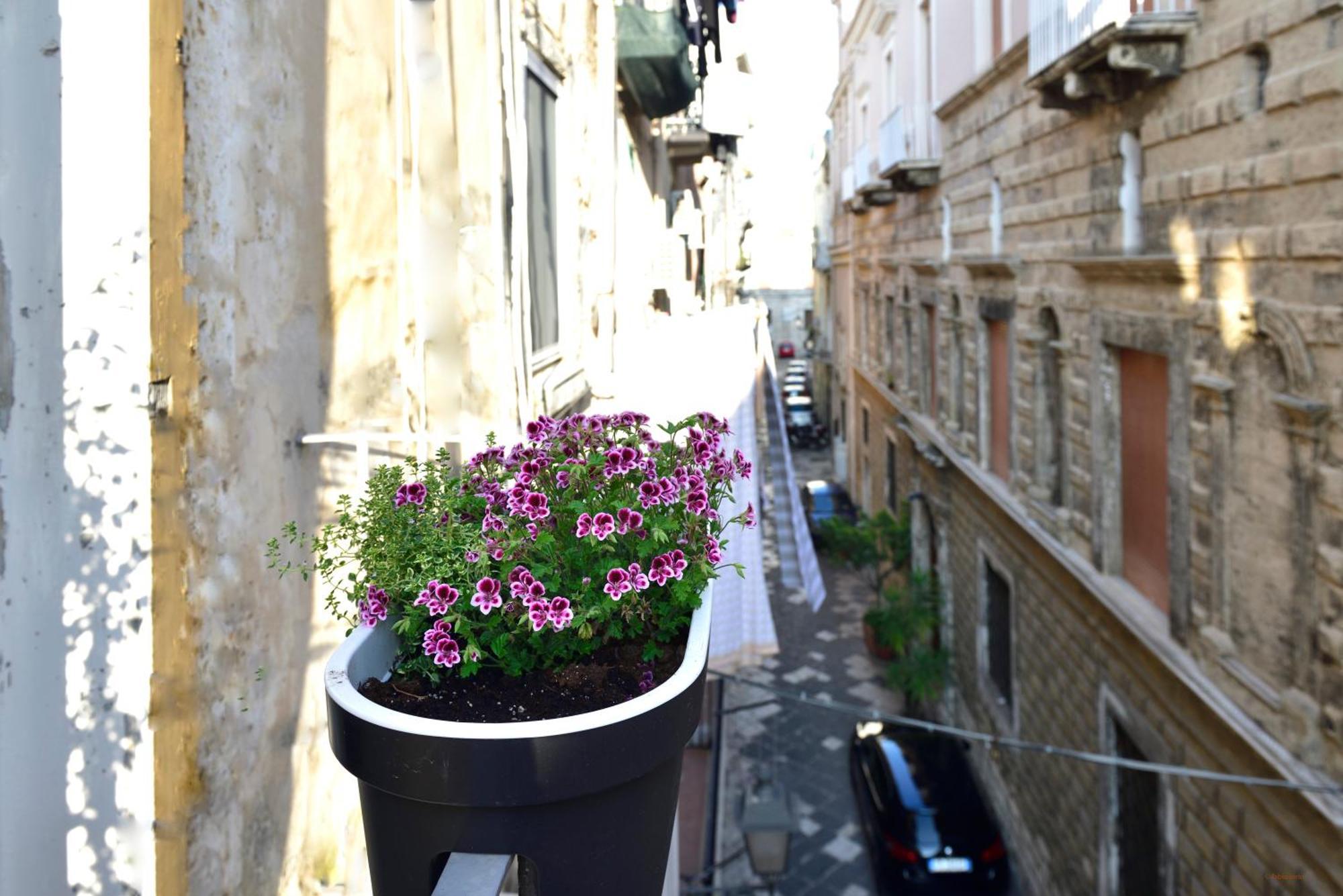 Ciaobari Apartment - Elegant 4 Bedrooms In The Heart Of Old Town Exterior foto